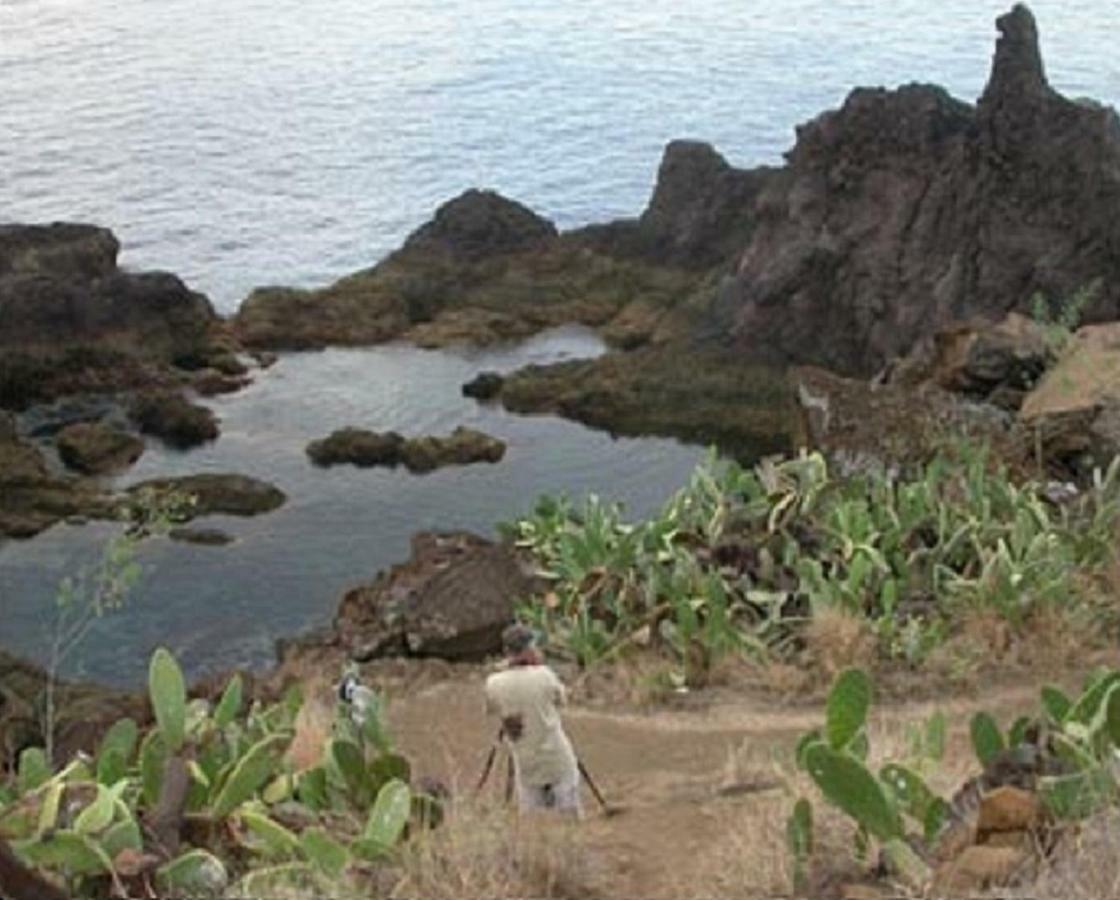 Un Balcon Sur La Mer Funchal  Esterno foto